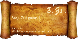 Bay Zsigmond névjegykártya